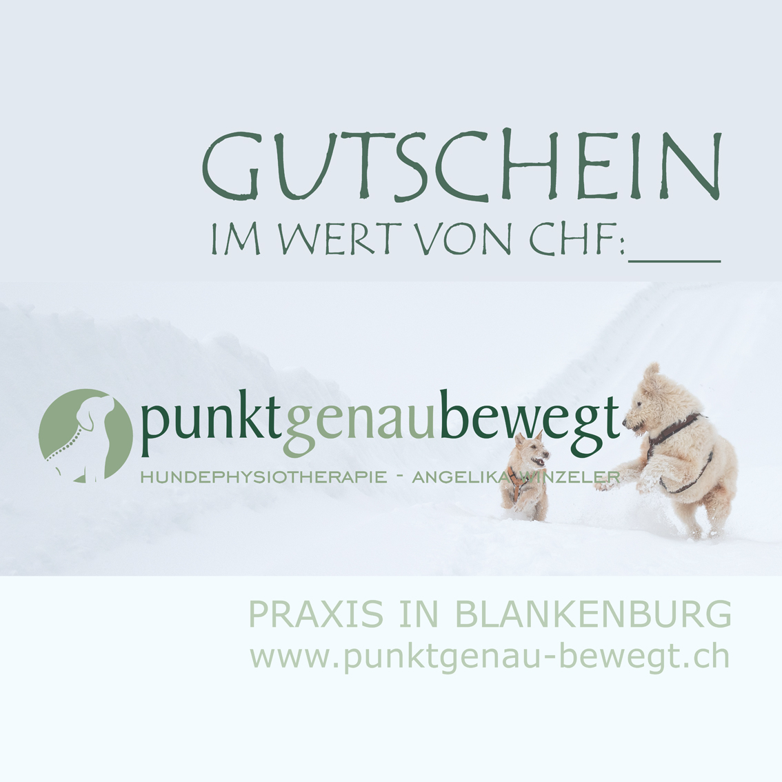 GUTSCHEIN Physiotherapie für Hunde